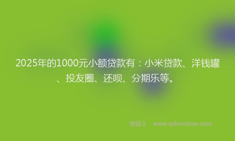 2025年的1000元小额贷款有：小米贷款、洋钱罐、投友圈、还呗、分期乐等。