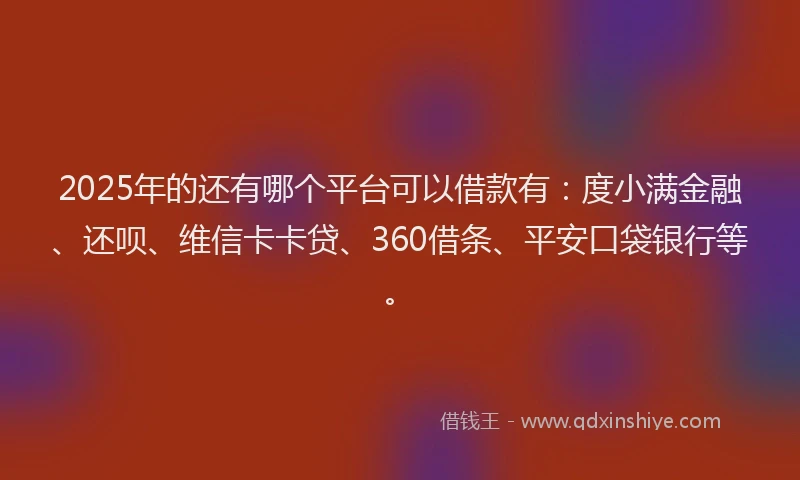 2025年的还有哪个平台可以借款有：度小满金融、还呗、维信卡卡贷、360借条、平安口袋银行等。