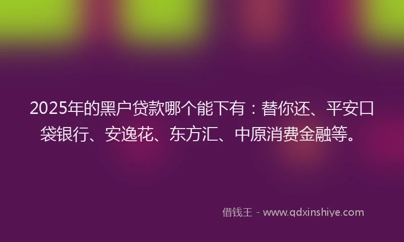 2025年的黑户贷款哪个能下有：替你还、平安口袋银行、安逸花、东方汇、中原消费金融等。