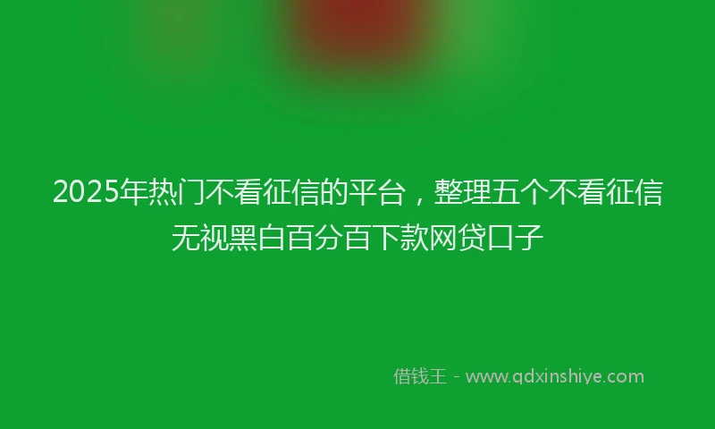2025年热门不看征信的平台，整理五个不看征信无视黑白百分百下款网贷口子