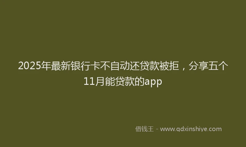 2025年最新银行卡不自动还贷款被拒，分享五个11月能贷款的app