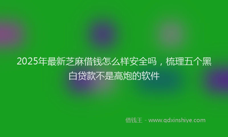 2025年最新芝麻借钱怎么样安全吗，梳理五个黑白贷款不是高炮的软件
