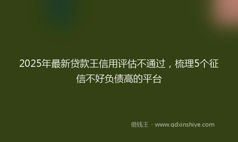 2025年最新贷款王信用评估不通过，梳理5个征信不好负债高的平台
