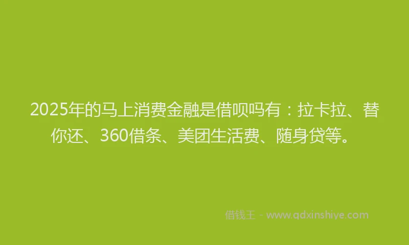2025年的马上消费金融是借呗吗有：拉卡拉、替你还、360借条、美团生活费、随身贷等。