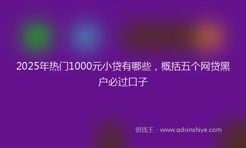 2025年热门1000元小贷有哪些，概括五个网贷黑户必过口子