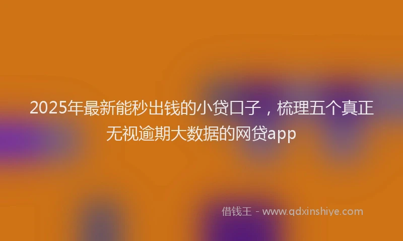 2025年最新能秒出钱的小贷口子，梳理五个真正无视逾期大数据的网贷app