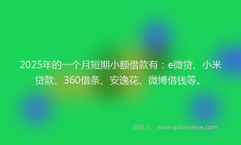 2025年的一个月短期小额借款有：e微贷、小米贷款、360借条、安逸花、微博借钱等。