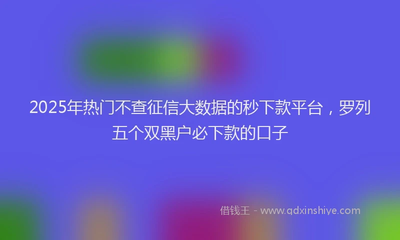 2025年热门不查征信大数据的秒下款平台，罗列五个双黑户必下款的口子