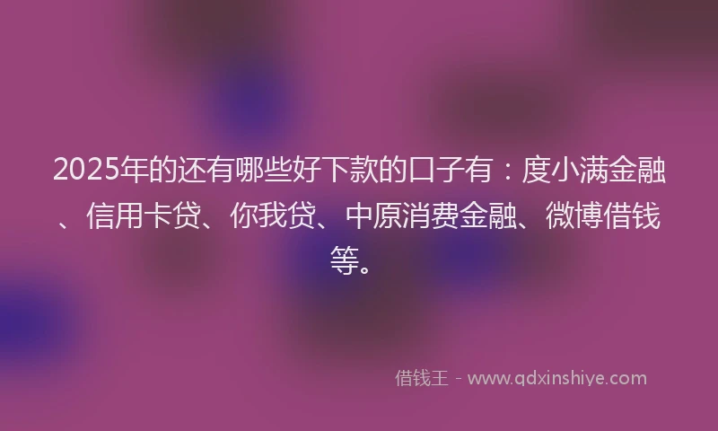 2025年的还有哪些好下款的口子有：度小满金融、信用卡贷、你我贷、中原消费金融、微博借钱等。
