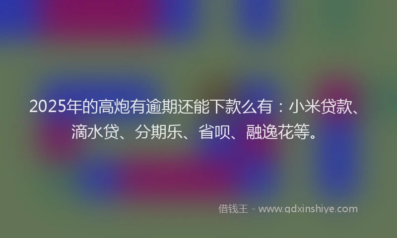2025年的高炮有逾期还能下款么有：小米贷款、滴水贷、分期乐、省呗、融逸花等。