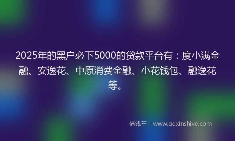 2025年的黑户必下5000的贷款平台有：度小满金融、安逸花、中原消费金融、小花钱包、融逸花等。
