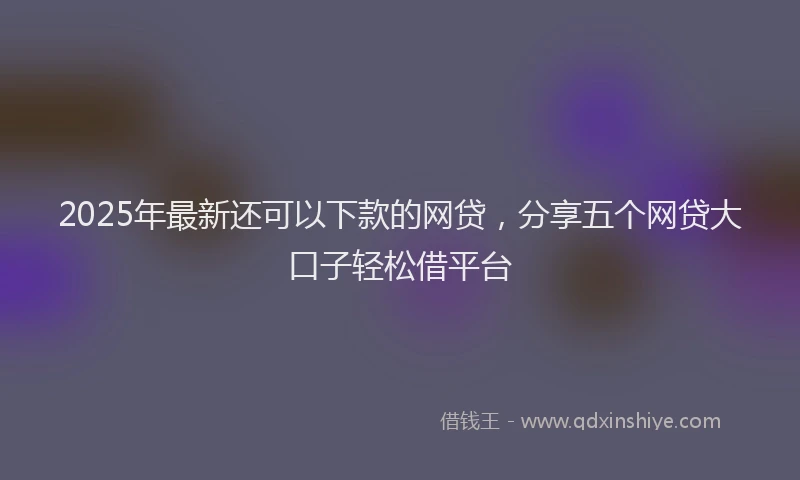 2025年最新还可以下款的网贷，分享五个网贷大口子轻松借平台