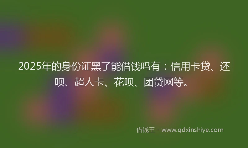 2025年的身份证黑了能借钱吗有：信用卡贷、还呗、超人卡、花呗、团贷网等。