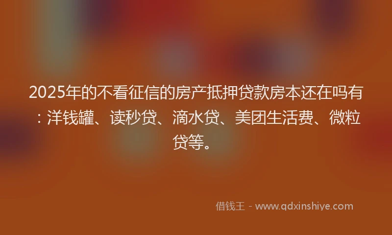2025年的不看征信的房产抵押贷款房本还在吗有：洋钱罐、读秒贷、滴水贷、美团生活费、微粒贷等。