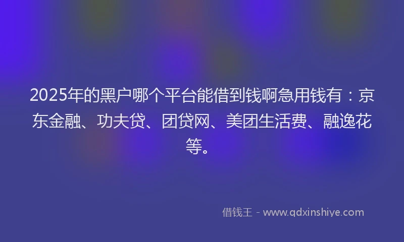 2025年的黑户哪个平台能借到钱啊急用钱有：京东金融、功夫贷、团贷网、美团生活费、融逸花等。