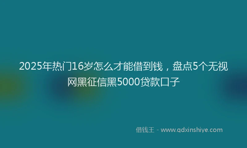 2025年热门16岁怎么才能借到钱，盘点5个无视网黑征信黑5000贷款口子