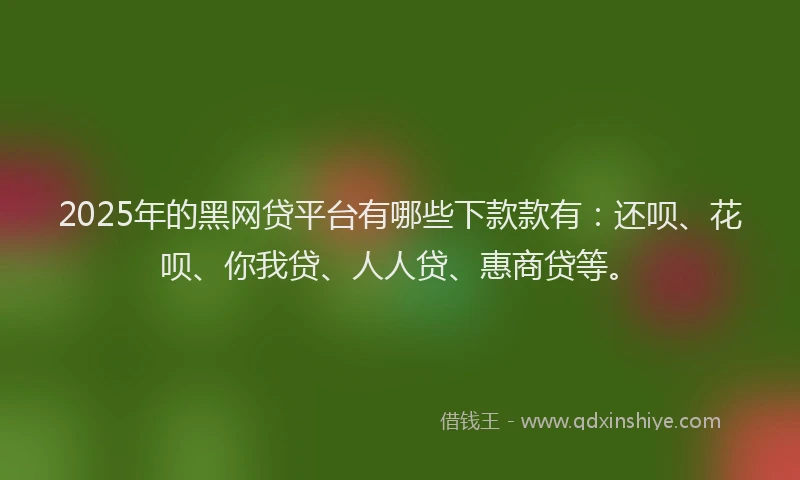 2025年的黑网贷平台有哪些下款款有：还呗、花呗、你我贷、人人贷、惠商贷等。