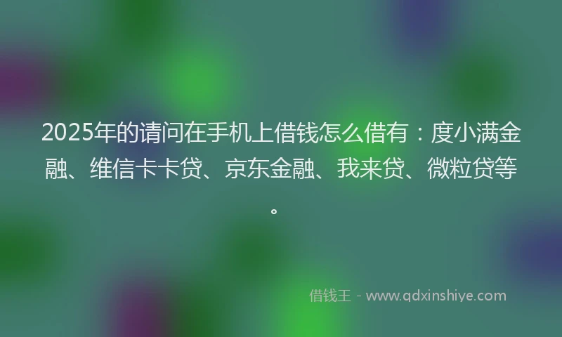 2025年的请问在手机上借钱怎么借有：度小满金融、维信卡卡贷、京东金融、我来贷、微粒贷等。