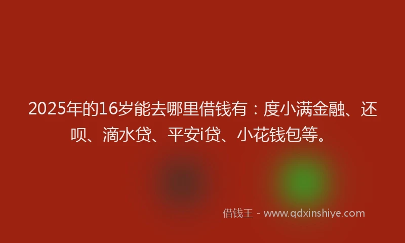 2025年的16岁能去哪里借钱有：度小满金融、还呗、滴水贷、平安i贷、小花钱包等。