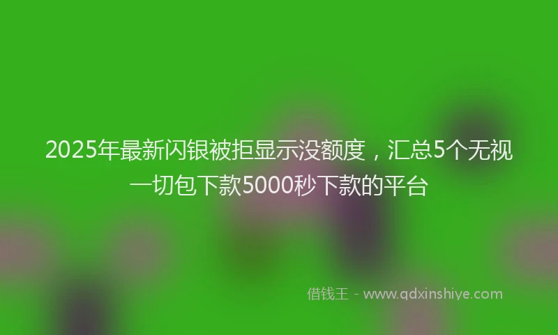 2025年最新闪银被拒显示没额度，汇总5个无视一切包下款5000秒下款的平台