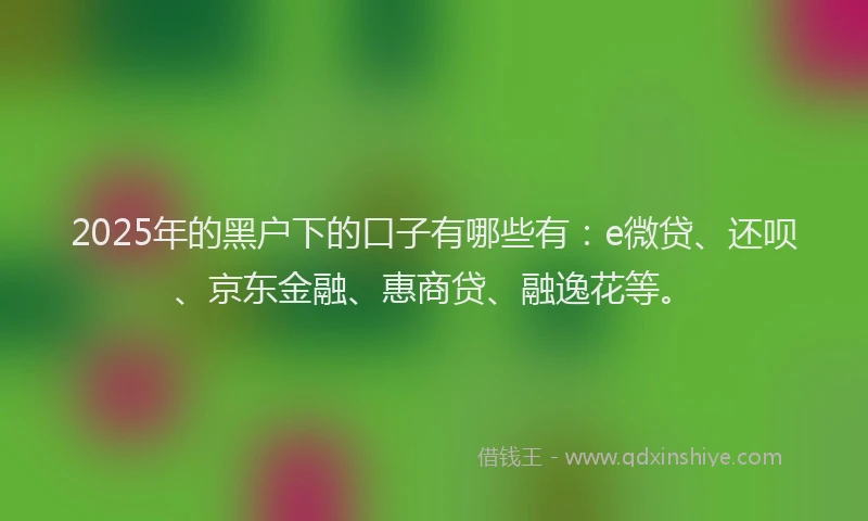 2025年的黑户下的口子有哪些有：e微贷、还呗、京东金融、惠商贷、融逸花等。