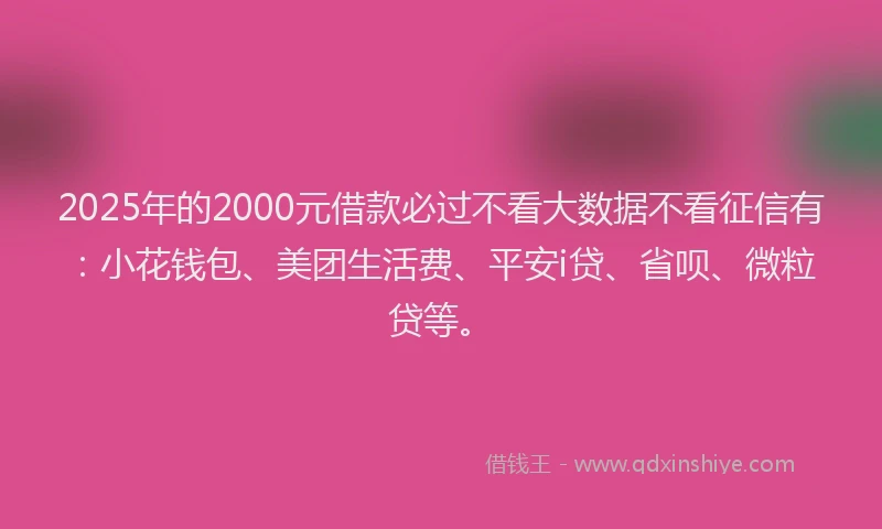 2025年的2000元借款必过不看大数据不看征信有：小花钱包、美团生活费、平安i贷、省呗、微粒贷等。