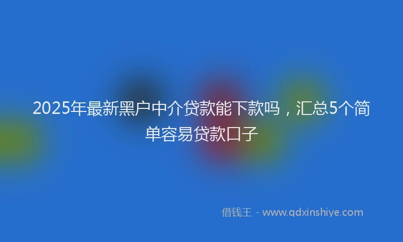 2025年最新黑户中介贷款能下款吗，汇总5个简单容易贷款口子