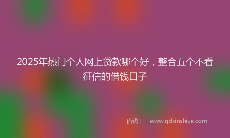 2025年热门个人网上贷款哪个好，整合五个不看征信的借钱口子