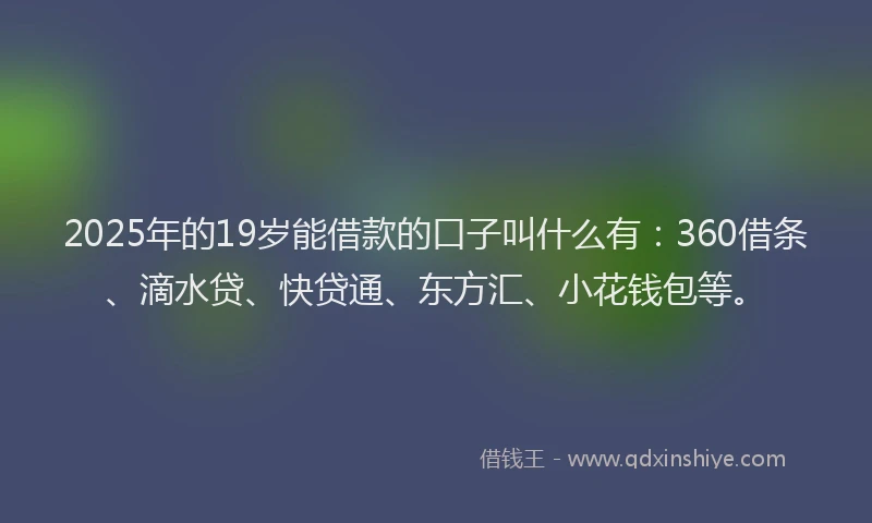 2025年的19岁能借款的口子叫什么有：360借条、滴水贷、快贷通、东方汇、小花钱包等。