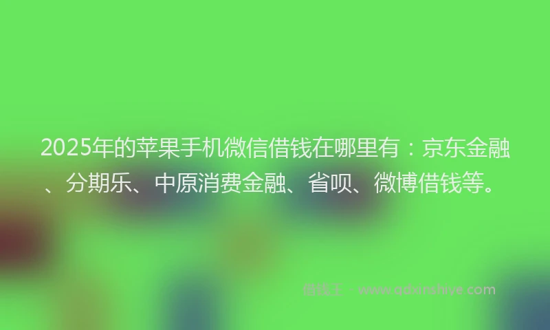 2025年的苹果手机微信借钱在哪里有：京东金融、分期乐、中原消费金融、省呗、微博借钱等。