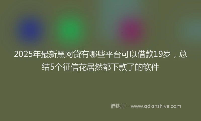 2025年最新黑网贷有哪些平台可以借款19岁，总结5个征信花居然都下款了的软件