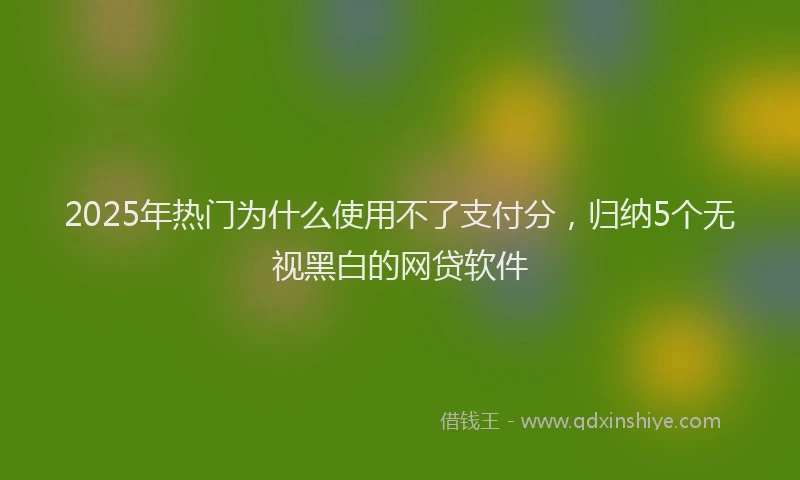 2025年热门为什么使用不了支付分，归纳5个无视黑白的网贷软件