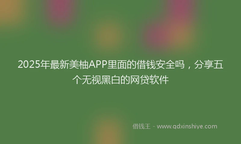 2025年最新美柚APP里面的借钱安全吗，分享五个无视黑白的网贷软件