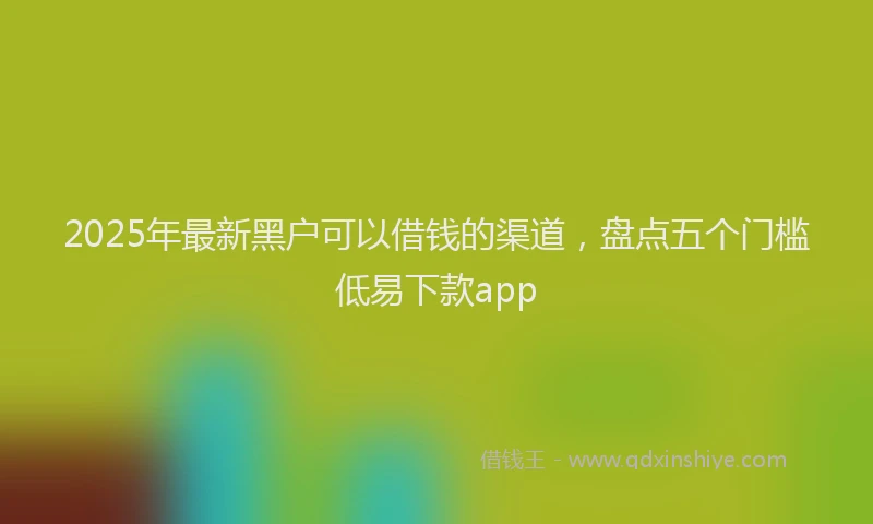 2025年最新黑户可以借钱的渠道，盘点五个门槛低易下款app