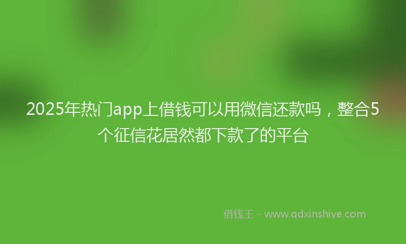 2025年热门app上借钱可以用微信还款吗，整合5个征信花居然都下款了的平台