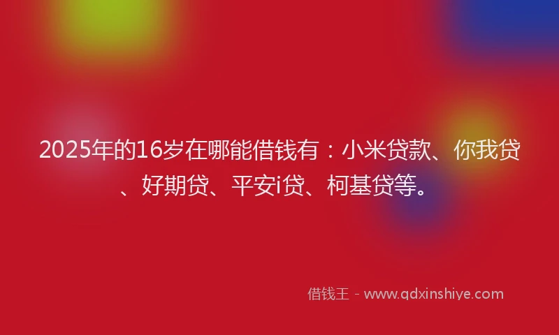 2025年的16岁在哪能借钱有：小米贷款、你我贷、好期贷、平安i贷、柯基贷等。
