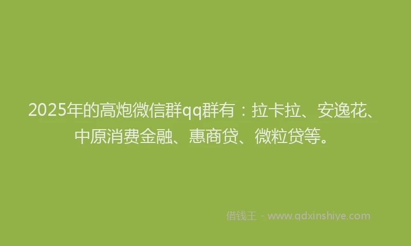 2025年的高炮微信群qq群有：拉卡拉、安逸花、中原消费金融、惠商贷、微粒贷等。