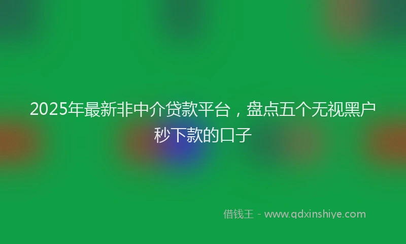 2025年最新非中介贷款平台，盘点五个无视黑户秒下款的口子
