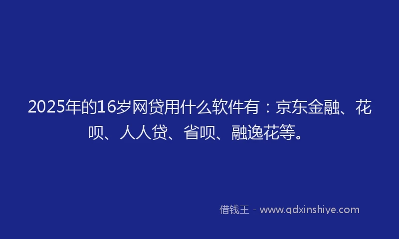 2025年的16岁网贷用什么软件有：京东金融、花呗、人人贷、省呗、融逸花等。