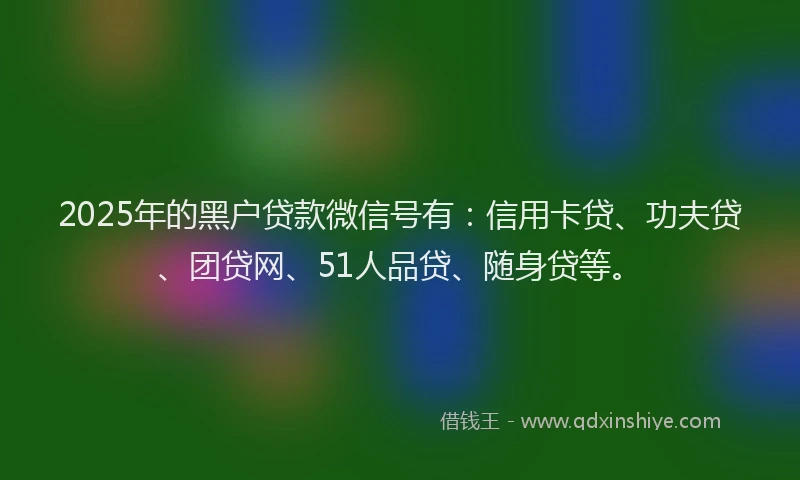 2025年的黑户贷款微信号有：信用卡贷、功夫贷、团贷网、51人品贷、随身贷等。