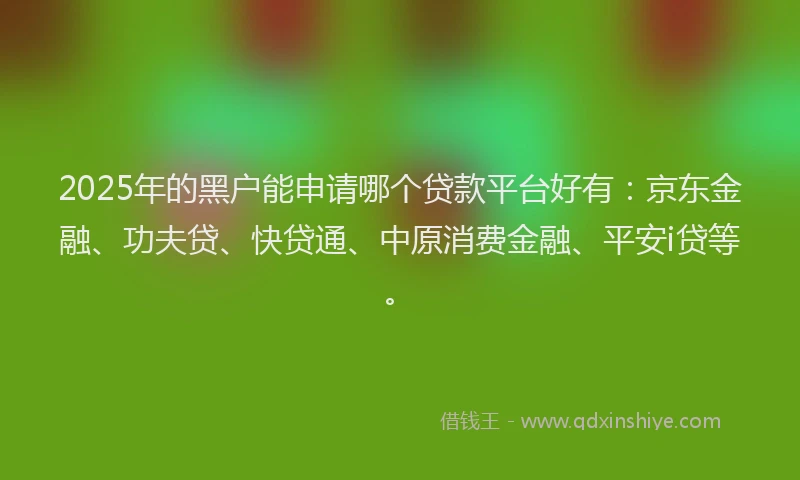 2025年的黑户能申请哪个贷款平台好有：京东金融、功夫贷、快贷通、中原消费金融、平安i贷等。