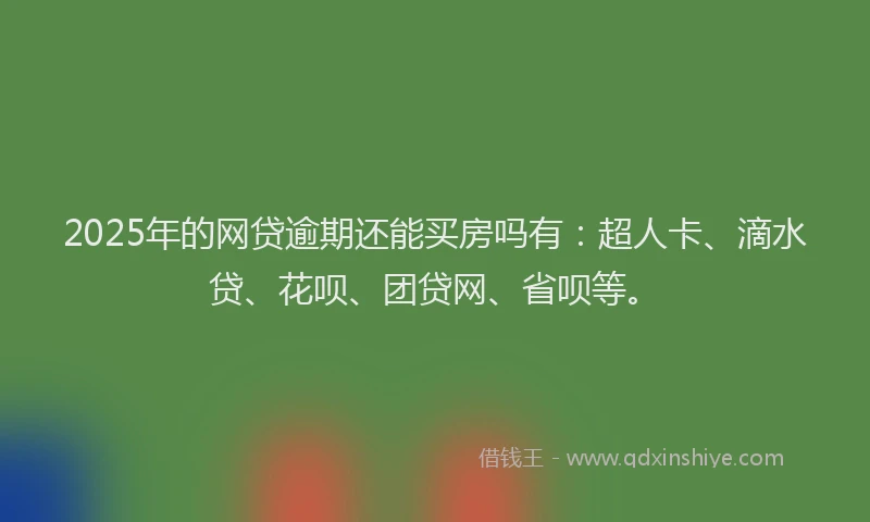 2025年的网贷逾期还能买房吗有:超人卡、滴水贷、花呗、团贷网、省呗等。