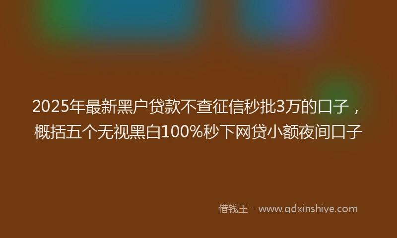 2025年最新黑户贷款不查征信秒批3万的口子，概括五个无视黑白100%秒下网贷小额夜间口子