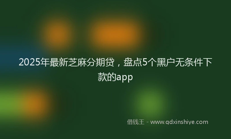 2025年最新芝麻分期贷，盘点5个黑户无条件下款的app