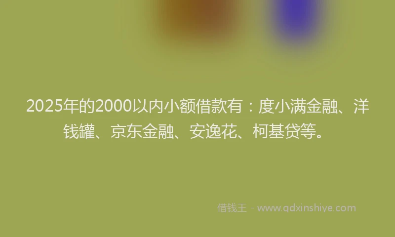 2025年的2000以内小额借款有：度小满金融、洋钱罐、京东金融、安逸花、柯基贷等。
