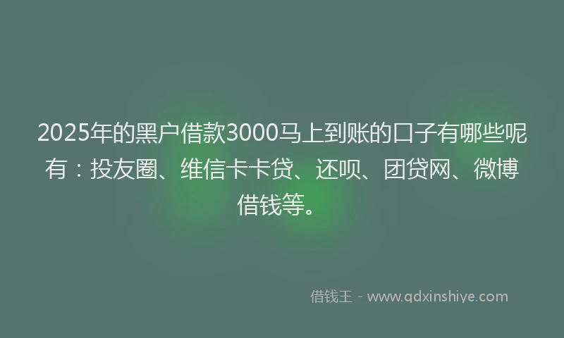 2025年的黑户借款3000马上到账的口子有哪些呢有：投友圈、维信卡卡贷、还呗、团贷网、微博借钱等。