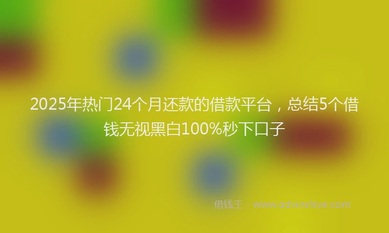 2025年热门24个月还款的借款平台，总结5个借钱无视黑白100%秒下口子