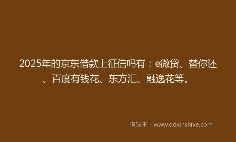 2025年的京东借款上征信吗有：e微贷、替你还、百度有钱花、东方汇、融逸花等。