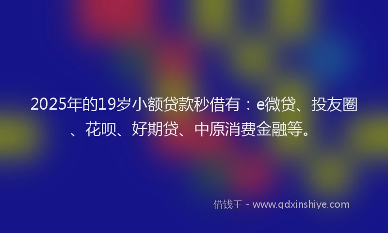 2025年的19岁小额贷款秒借有：e微贷、投友圈、花呗、好期贷、中原消费金融等。