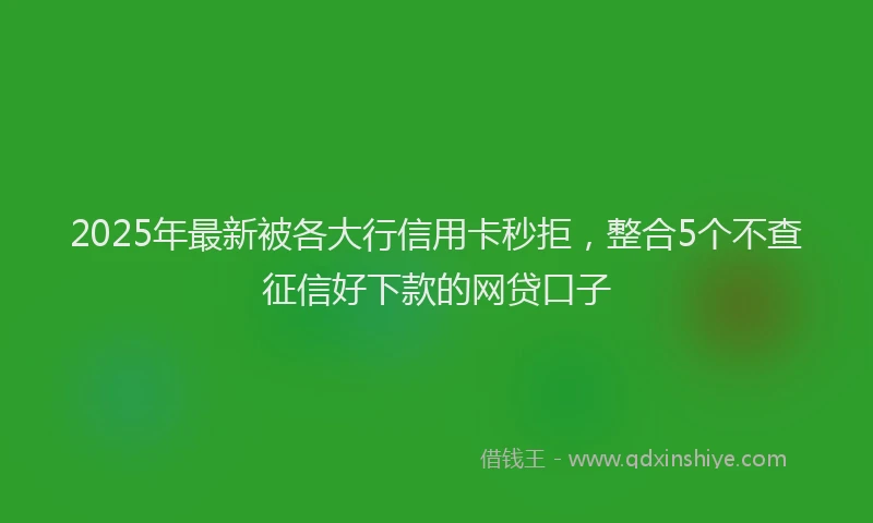 2025年最新被各大行信用卡秒拒，整合5个不查征信好下款的网贷口子